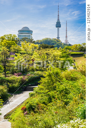 ソウル　新緑の南山公園とNソウルタワー 125482914