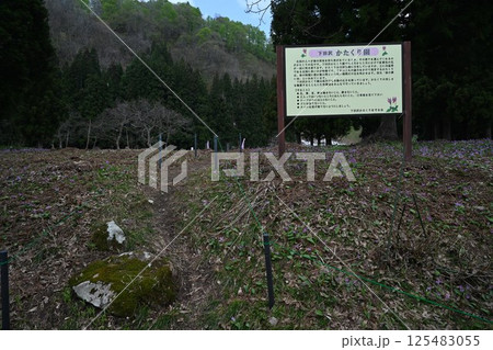 下田沢かたくり園 125483055