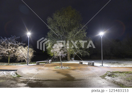 Night pedestrian path with lanterns and snow-covered trees Night pedestrian path with lanterns and snow-covered trees 125483153