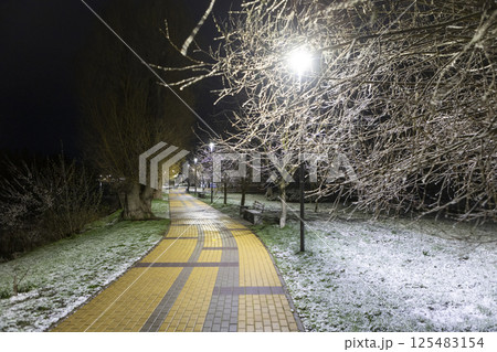 Night pedestrian path with lanterns and snow-covered trees Night pedestrian path with lanterns and snow-covered trees 125483154