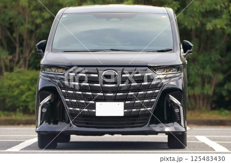 高級ミニバン 125483430
