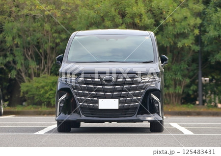 高級ミニバン 125483431