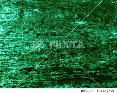 アマゾン 125483759