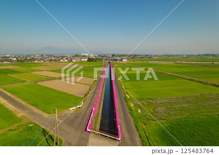 三股町蓼池　R7年春　空撮 125483764