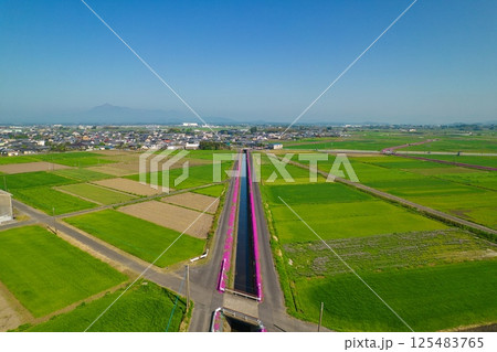 三股町蓼池　R7年春　空撮 125483765