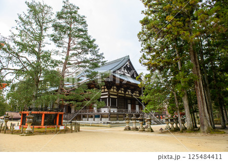 高野山 三鈷の松と金堂 壇上伽藍 和歌山県 高野山 三鈷の松と金堂 壇上伽藍 和歌山県 125484411