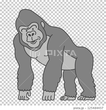 ゴリラ ゴリラ 125484437