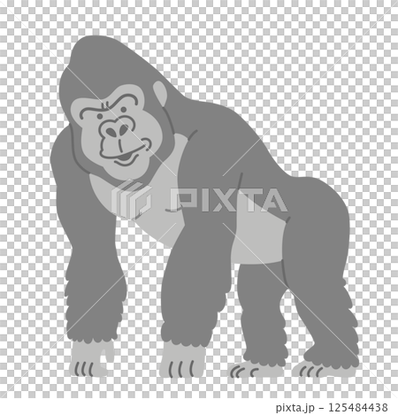 ゴリラ 125484438