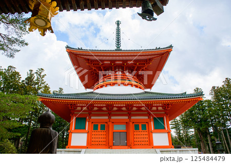 世界遺産高野山　根本大塔と御影堂吊灯籠　壇上伽藍　和歌山県 125484479