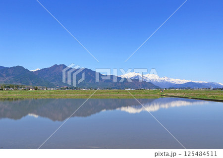 山麓から望む春の北アルプス後立山連峰 山麓から望む春の北アルプス後立山連峰 125484511