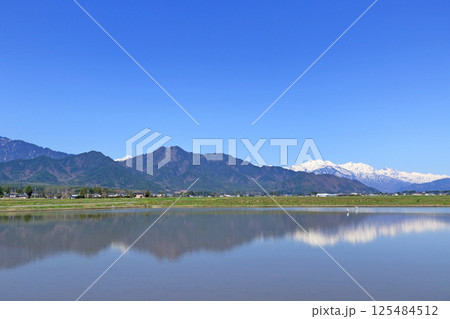 山麓から望む春の北アルプス後立山連峰 山麓から望む春の北アルプス後立山連峰 125484512