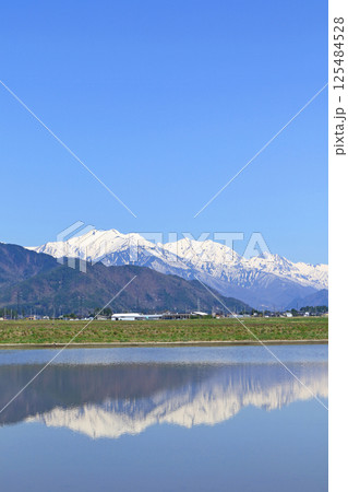 山麓から望む春の北アルプス後立山連峰 125484528