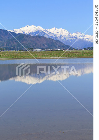 山麓から望む春の北アルプス後立山連峰 125484530