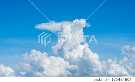 青空に浮かぶ雄大な雲海と積乱雲 青空に浮かぶ雄大な雲海と積乱雲 125484607