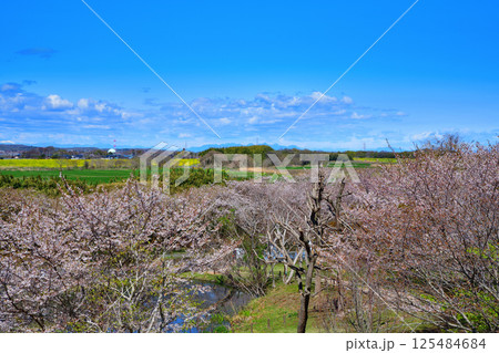高尾さくら公園から秩父方面山並の景色 北本市 高尾さくら公園から秩父方面山並の景色 北本市 125484684