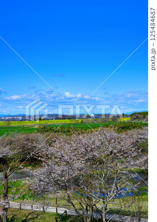 高尾さくら公園から秩父方面山並の景色　北本市 125484687