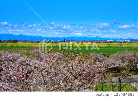 高尾さくら公園から秩父方面山並の景色　北本市 125484688