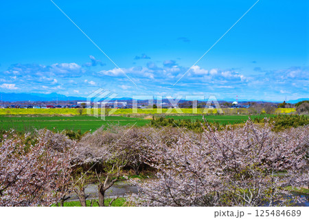 高尾さくら公園から秩父方面山並の景色　北本市 125484689