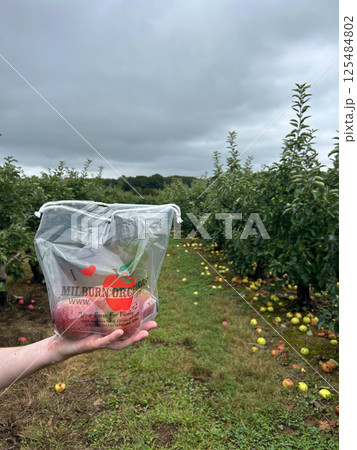 Hand Holding Bag of Fresh Apples at Milburn Orchards on a Cloudy Fall Day 125484802