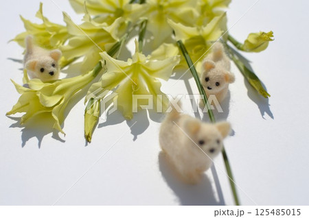 クリーム色の春咲きグラジオラスの花束とフェルトの子犬　 125485015