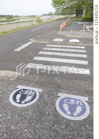 河川敷の歩行者用横断歩道のとまれの標識の写真 125485210