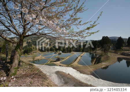 山古志の春 山古志の春 125485334