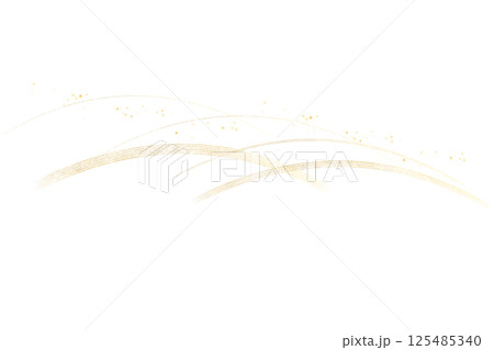 金色のラインと白い背景（アブストラクト） 125485340