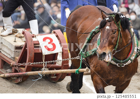 東北輓馬競技大会 障害を超える輓馬と騎手 125485551