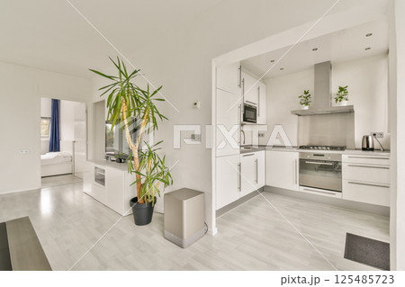 A stylish modern kitchen seamlessly integrates with a contemporary living space, showcasing sleek cabinets and green plants for a fresh ambiance. 125485723