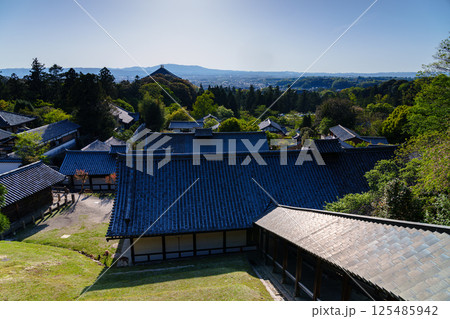 春の柔らかな日差しに包まれる東大寺境内と奈良の街 東大寺の森 二月堂にて 春の柔らかな日差しに包まれる東大寺境内と奈良の街 東大寺の森 二月堂にて 125485942