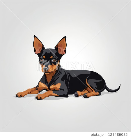 一休み中のミニチュアピンシャー 一休み中のミニチュアピンシャー 125486083