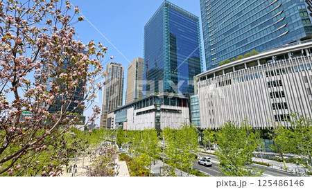 JR大阪駅周辺の風景 新緑が美しい春のグラングリーン大阪 JR大阪駅周辺の風景 新緑が美しい春のグラングリーン大阪 125486146