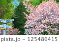 田舎の風景 125486415