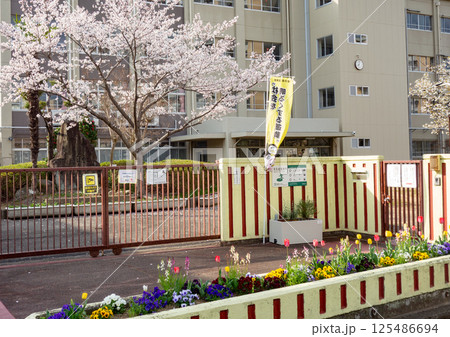 サクラと小学校校舎 125486694