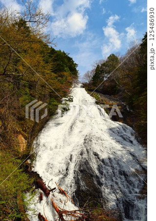 春の湯滝　日光市 栃木県　6 125486930