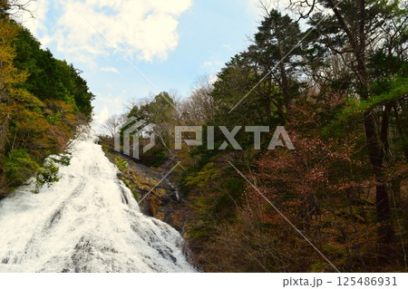 春の湯滝　日光市 栃木県　1 125486931