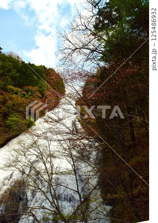 春の湯滝　日光市 栃木県　5 125486932