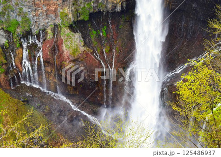 春の華厳滝　日光市 栃木県　2 125486937