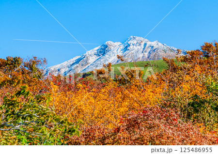 山形 鳥海山 ~白く冠雪した山頂と麓の紅葉~ 山形 鳥海山 ~白く冠雪した山頂と麓の紅葉~ 125486955
