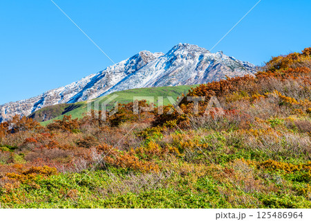 山形 鳥海山　～白く冠雪した山頂と麓の紅葉～ 125486964