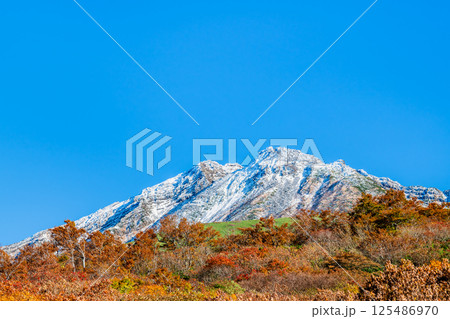 山形 鳥海山 ~白く冠雪した山頂と麓の紅葉~ 山形 鳥海山 ~白く冠雪した山頂と麓の紅葉~ 125486970