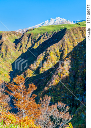 山形 鳥海山　～白く冠雪した山頂と麓の紅葉～ 125486975