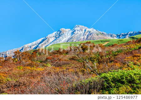 山形 鳥海山 ~白く冠雪した山頂と麓の紅葉~ 山形 鳥海山 ~白く冠雪した山頂と麓の紅葉~ 125486977