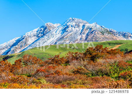 山形 鳥海山 ~白く冠雪した山頂と麓の紅葉~ 山形 鳥海山 ~白く冠雪した山頂と麓の紅葉~ 125486978