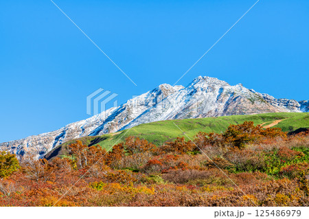 山形 鳥海山　～白く冠雪した山頂と麓の紅葉～ 125486979