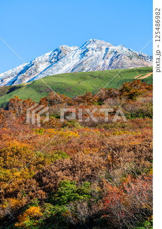 山形 鳥海山　～白く冠雪した山頂と麓の紅葉～ 125486982