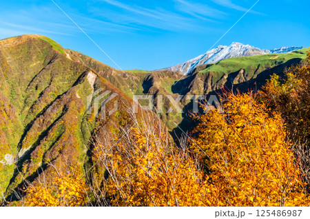 山形 鳥海山　～白く冠雪した山頂と麓の紅葉～ 125486987
