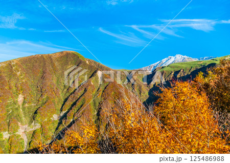 山形 鳥海山　～白く冠雪した山頂と麓の紅葉～ 125486988