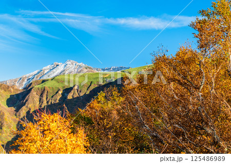 山形 鳥海山 ~白く冠雪した山頂と麓の紅葉~ 山形 鳥海山 ~白く冠雪した山頂と麓の紅葉~ 125486989