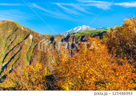 山形 鳥海山　～白く冠雪した山頂と麓の紅葉～ 125486993